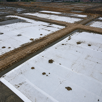 Tissu géotextile non tissé en PP 100 g/m², 200 g/m², 300 g/m² pour la séparation des sous-terrains routiers, la filtration et le drainage