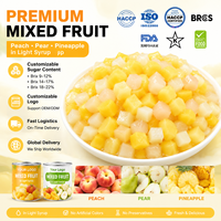 Premium fruitblokjesmix in blik, gemaakt van verse ananas, gele perzik en peerblokjes