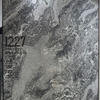 Dalles de pierre frittée haut de gamme grand format, veinures de pierre luxueuses, finition mate, résistantes à la chaleur, aux acides et aux alcalis, pour salle à manger, chambre, hall, style moderne