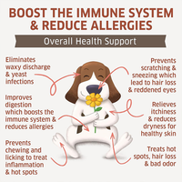 Compléments alimentaires pour animaux de compagnie à marque privée, stimulant l'immunité, soins nutritionnels quotidiens, complément alimentaire contre les allergies, soins du système immunitaire, friandises à mâcher pour animaux de compagnie