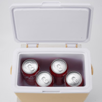 Glacière moderne 3L Cadeaux de Noël Glacière en plastique dur PU mousse pour camping extérieur pour 4 canettes de cola garder au froid