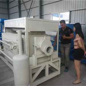 Waste Paper Reuse to Make Egg Tray Machine Price