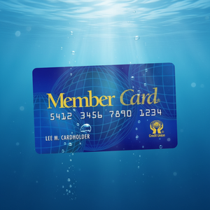 Carte magnétique Clf pour <span class=keywords><strong>iTunes</strong></span> et <span class=keywords><strong>Google</strong></span> <span class=keywords><strong>Play</strong></span> Store - Impression offset, estampage à chaud dorée, plastique - Product Image 1