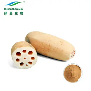 Nelumbo nucifera Lotus Root Extract Powder 4:1 to 20:1