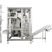 Machine d'emballage automatique de tubes de glace 10-30 sacs/min, machine de formage, de remplissage et de scellage de sacs de glaçons VFFS 500-3000g