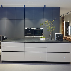 BKX Popular Design Wood Veneer Kitchen Cabinet solid wood For Wholesales with smart function