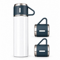 Bouteille isotherme personnalisable en acier inoxydable avec poignée, écologique, pour sublimation, cadeau d'entreprise pour l'extérieur