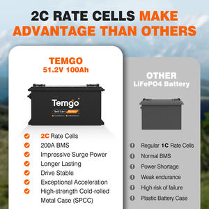 Temgo แบตเตอรี่ LiFePO4 100Ah 48V 51.2V 5000รอบก้อนแบตเตอรี่ลิเธียมไอออน - Product Image 4