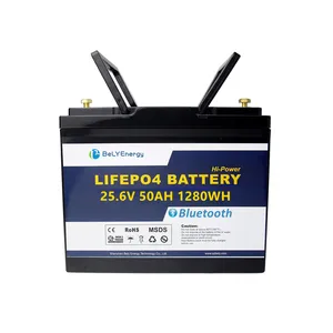 Компактный литиевый аккумулятор LiFePo4 24 в 50 Ач встроенная защита BMS для RV Yachat, солнечная энергия