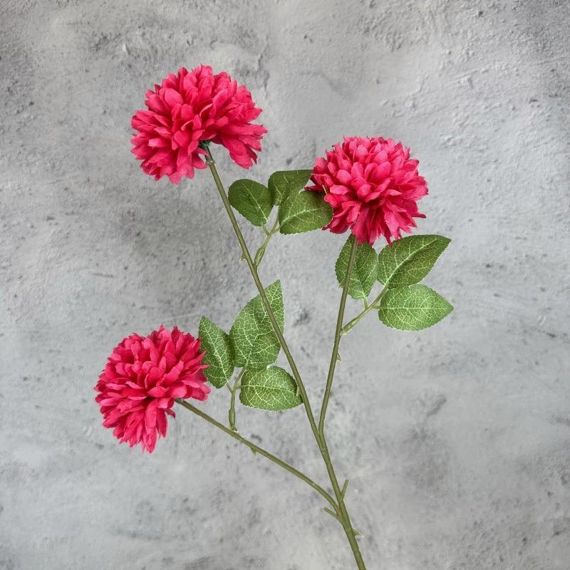 สีม่วงแดง