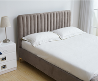 Sommier de lit moderne en tissu velours assemblé avec cadre en fer et tête de lit intégrée, base de matelas rembourrée