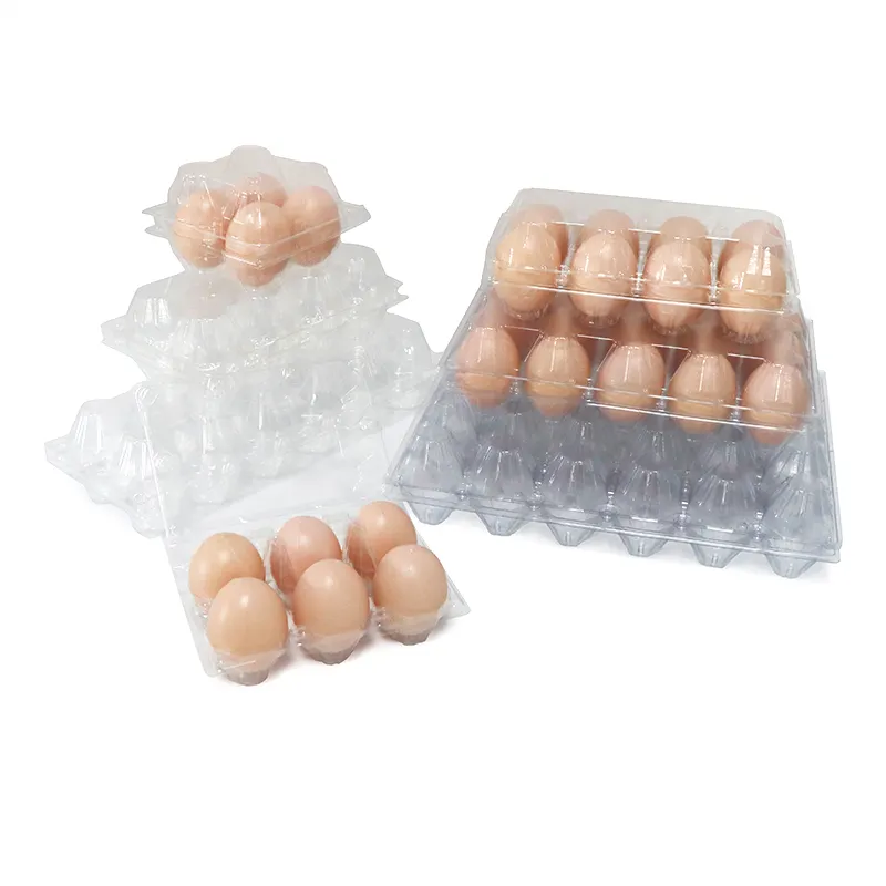 Custom Disposable Egg Trays, Wholesale PET Disposable Transparent Clear Plastic Duck Chicken Egg Tray Supplier Packaging Box