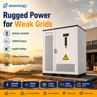 Armoire de stockage solaire industrielle SMS 125kW 261kWh LiFePO4, prête pour générateur diesel, refroidissement liquide, ESS IP65 pour sites C et I