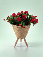 Panier à plantes autoportant en jute tressé, forme conique avec support trépied en bois, pot de fleurs d'intérieur