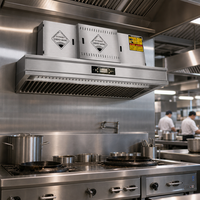Hotte de cuisine commerciale en acier inoxydable avec moteur à économie d'énergie pour équipement de ventilation de cuisine de restaurant