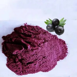 Acai Freeze Dried Powder High Quality Acai Berry Powder Manufacturer