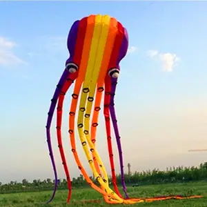 软风筝充气钩风筝3D 30m章鱼户外沙滩比赛专业风筝比赛