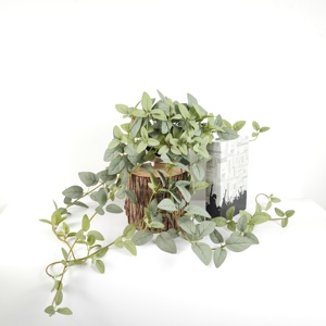 พุ่มไม้ประดิษฐ์ กระถางต้นไม้ ตกแต่งต้นไม้ - Product Image 5