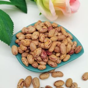 ความชื้น15% สูงสุดธัญพืชสุขภาพใหม่ล่าสุดพืชอาหารยาวรูปร่างรอบแสงจุดด่างดำไต Pinto ถั่ว - Product Image 3