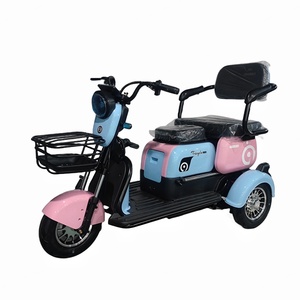 Tricycle électrique 800W, petit scooter familial, tricycle électrique à trois places réglable, homologué EEC - Product Image 2
