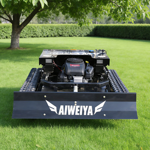 Tondeuse à gazon autotractée à essence européenne, déplacement flexible pour pelouses résidentielles et espaces verts - Product Image 1