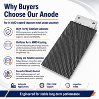 Anode en maille de titane revêtue de MMO Ru-Ir, électrode DSA pour l'électrolyse de la saumure, traitement de l'eau, oxydation électrochimique, sur mesure