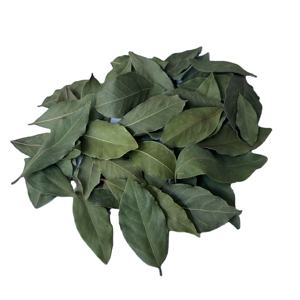 Hojas de Laurel turcas recogidas a mano de alta calidad de grado AA 5-10 Cm hoja de laurel cruda AD seca Natural 50kg para exportación de especias - Product Image 6