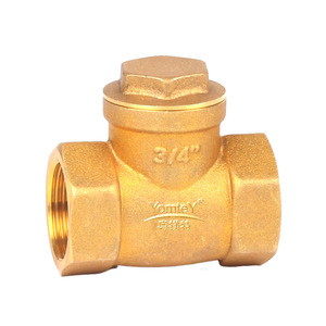 Guangdong Magnesium Special Brass Check Valve Straight-through Single-lobed Structure Water Pipe One-way Valve - Product Image 3