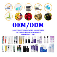 Usine OEM fiable de dentifrice sur mesure, blanchissant, aux multiples saveurs, à base de plantes et de charbon de bambou – Fabricant de dentifrice