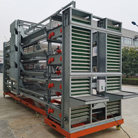Cages à poulets empilables à 4 niveaux entièrement automatiques personnalisables, durables, galvanisées à chaud, équipement d'élevage avicole