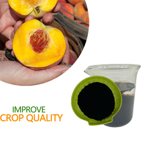 Kali humate sáng bóng mảnh 98 kali Humic axit cao như phân bón axit humic axit Chelated sắt phân bón 100% nước hòa tan - Product Image 1