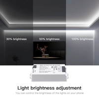 Contrôleur LED WiFi Zigbee 3.0 PWN DIM CCT RGB RGBW RGBCCT, passerelle double mode Tuya Smart Things pour bande LED DC5V-24V