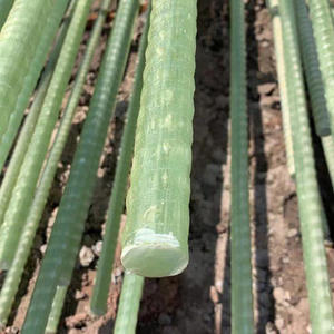 Barres d'armature professionnelles en polymère renforcé de fibre de verre FPR de haute résistance - Product Image 5