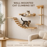 Ensemble de meubles muraux pour chat, étagères murales modulaires en bois, pont en corde, griffoir en sisal, hamac en tissu pour chats d'intérieur
