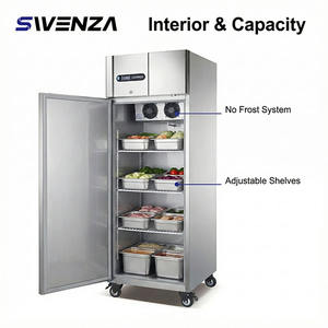 <span class=keywords><strong>Réfrigérateur</strong></span> vertical SWENZA à porte unique en acier inoxydable, idéal pour supermarchés - Meilleure vente - Product Image 2