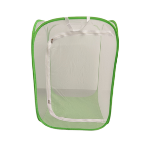 Boîte <span class=keywords><strong>d</strong></span>'<span class=keywords><strong>observation</strong></span> de culture respirante en maille de gaze anti-<span class=keywords><strong>insectes</strong></span> verte transparente pour les semis de mantes - Product Image 4