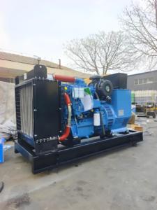 Generador de energía diésel 50/60Hz Frecuencia trifásica 20KW Motor de potencia nominal - Product Image 4