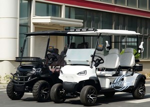 Voiturette de golf électrique 4-6 places, moteur 3000W, vitesse 30 km/h, autonomie 90 km, véhicule de quartier pour visites panoramiques, directement de l'usine - Product Image 2