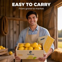 Boîte en carton ondulé pour fruits, réutilisable, empilable, robuste, ventilée, pour conserver les concombres, les tomates et les pommes de terre
