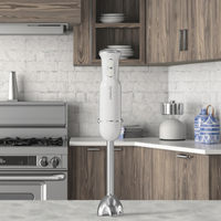Mixeur Plongeant BLENDER avec Boîtier en Plastique, Lame en Acier Inoxydable, Moteur en Cuivre Pur et Vitesse Variable pour Usage Domestique