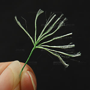 قوي للغاية 150LB 200LB 9 فروع إم بي مضفر خط الصيد متعدد الشعيرات - Product Image 4