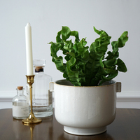 Pot de fleurs en céramique blanche émaillée de style classique, bol décoratif pour la maison et le jardin