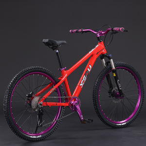 Xe đạp leo núi MTB 29 inch 21 tốc độ bán buôn, phuộc nhún bằng nhôm, khung hợp kim nhôm thép, hệ thống phanh đĩa, bàn đạp thông thường - Product Image 2