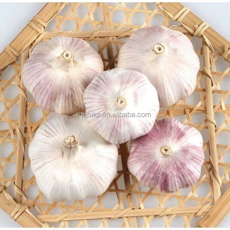 Chinese Factory Direct Sales Fresh Garlic Seeds 50kg Mesh Bag Packing