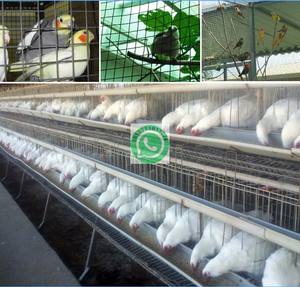 Cerca de malla soldada - Product Image 4