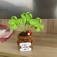 Plante en Pot Crochetée Main, Marguerites et Myosotis Soufflés Oranges, Fleur Tricotée Émotionnelle et Positive