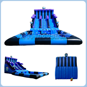 Thương mại trượt nước duy nhất cho người lớn phù hợp với PVC Inflatable nhiệt đới thiết kế thể thao cho ngoài trời sử dụng vườn - Product Image 2