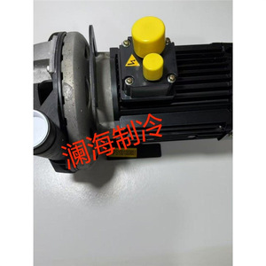 Pompe à eau Carrier 30RB080 00PSY001000851, pompe de conduite pour remplacement et réparation, modèle standard à entraînement magnétique - Product Image 3