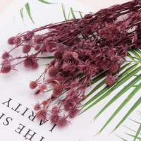 Coffret Cadeau de Fleurs Éternelles pour Amateurs de Fleurs : Petite Boîte de Conservation de Céleri Épineux avec Fleurs pour la Décoration Intérieure et les Occasions de Remise de Diplôme