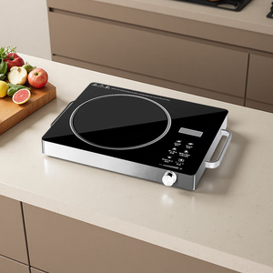 Fornello Elettrico a Infrarossi Domestico 110V-220V 3500W ad Alta Potenza con Doppia Zona e Doppio Controllo per Saltare in Padella e Hot Pot, Fornitura OEM - Product Image 5